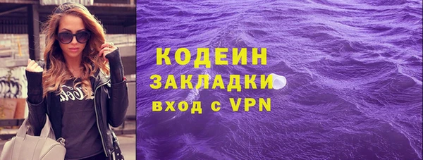 ГАЛЛЮЦИНОГЕННЫЕ ГРИБЫ Чекалин
