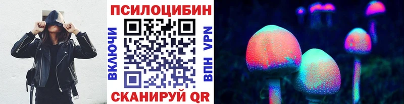 Псилоцибиновые грибы Psilocybe  Шумиха 